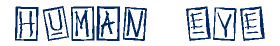 Click to preview font sample